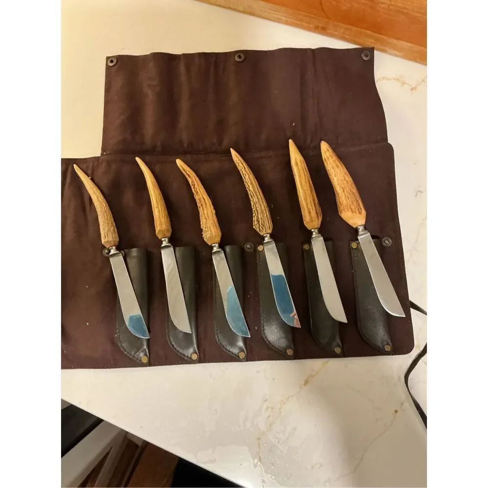 Brown & Bigelow Solingen Germany Stag Handled Stainless Steel Knifes Case
